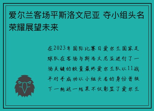 爱尔兰客场平斯洛文尼亚 夺小组头名荣耀展望未来