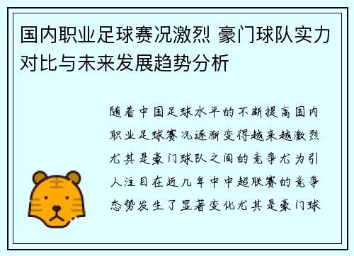 国内职业足球赛况激烈 豪门球队实力对比与未来发展趋势分析