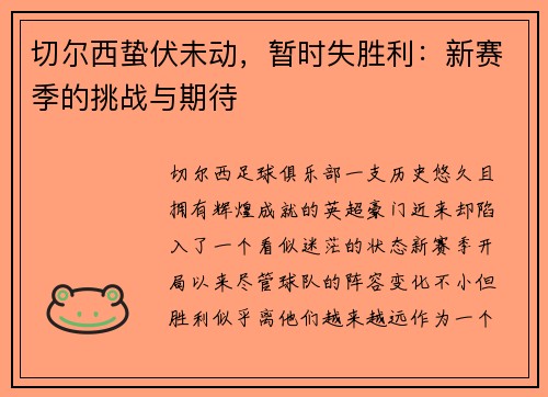 切尔西蛰伏未动，暂时失胜利：新赛季的挑战与期待